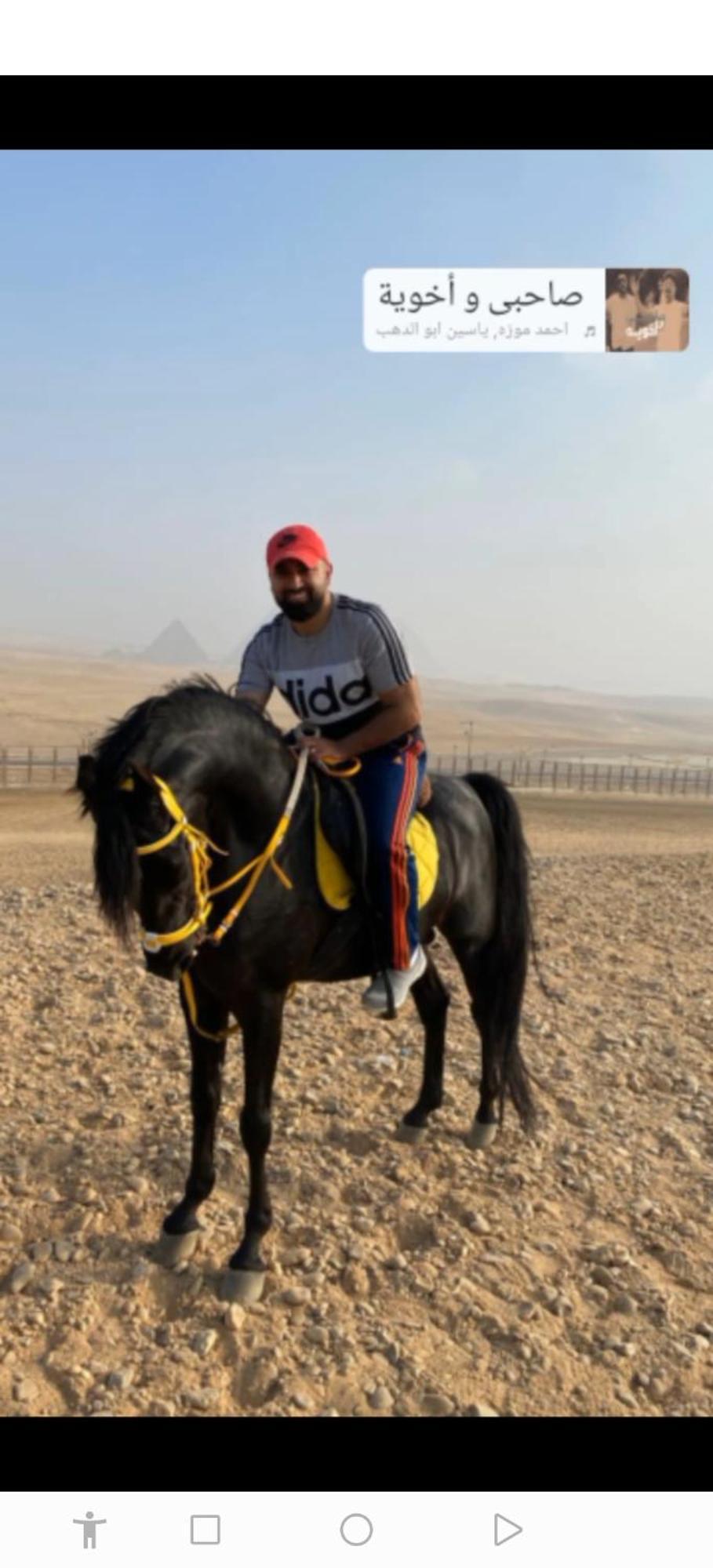 Mesho Falcon Pyramids View Inn Kafret el-Gabal Eksteriør bilde